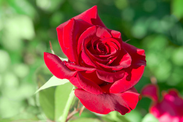 Similar image 670311