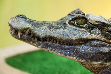 Similar image 670314