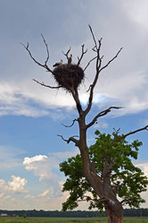 Similar image 670316