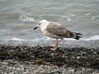 Similar image 670321