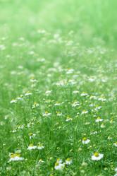 Similar image 670336