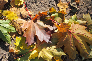 Similar image 670344