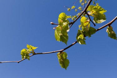 Similar image 670347