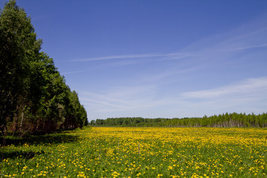 Similar image 670353