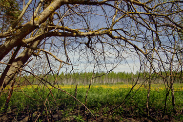 Similar image 670357