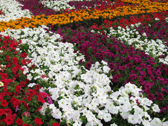 Similar image 670358