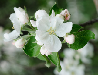 Similar image 670365