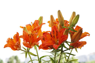 Similar image 670385