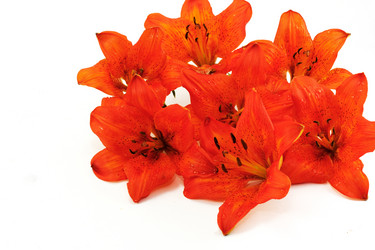 Similar image 670387