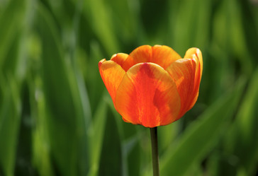 Similar image 670391