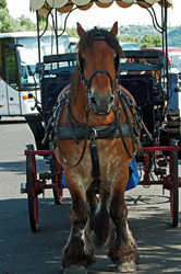 Similar image 670421