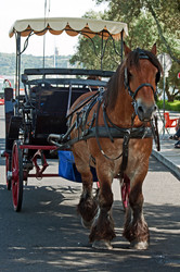 Similar image 670423