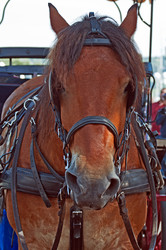 Similar image 670425