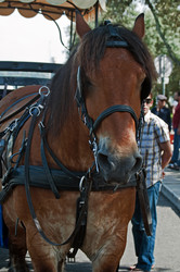 Similar image 670426