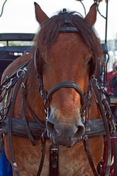 Similar image 670427