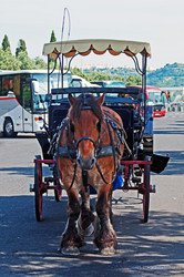 Similar image 670428