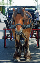 Similar image 670429