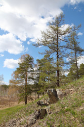 Similar image 670460