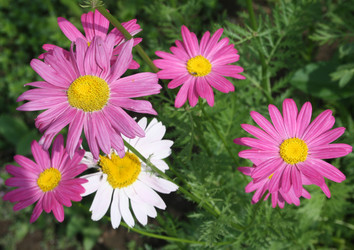 Similar image 670528