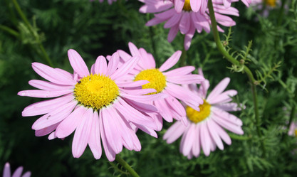 Similar image 670529