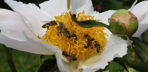 Similar image 670531