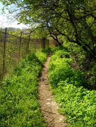 Similar image 670560