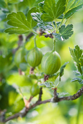 Similar image 670561