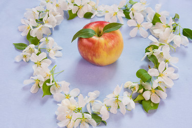 Similar image 670618