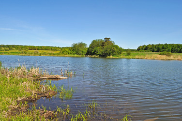 Similar image 670620