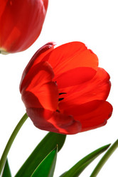 Similar image 670626