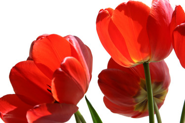 Similar image 670627