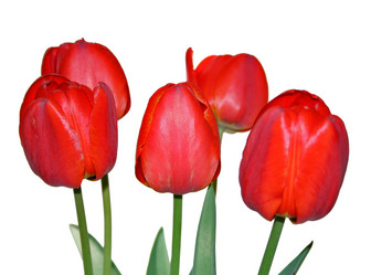 Similar image 670628