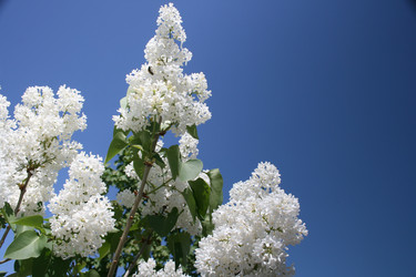 Similar image 670630