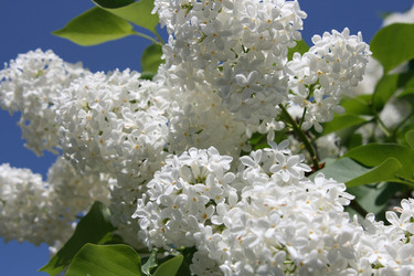 Similar image 670631