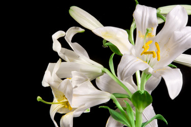 Similar image 670633