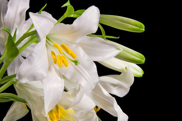 Similar image 670634