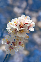 Similar image 670635