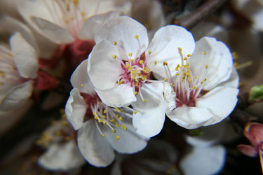 Similar image 670636