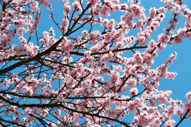 Similar image 670637