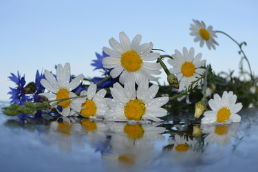 Similar image 670639