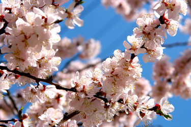 Similar image 670658