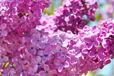 Similar image 670660