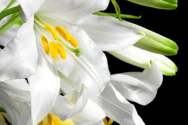 Similar image 670669