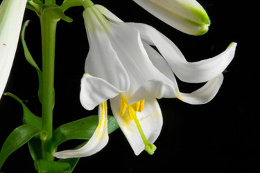 Similar image 670670