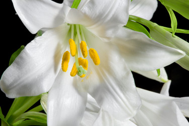 Similar image 670671