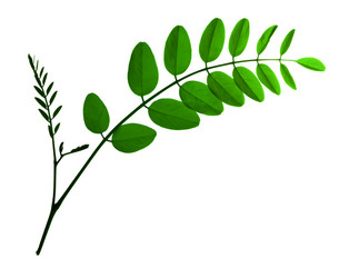 Similar image 670675