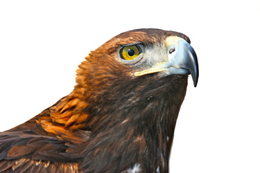 Similar image 670691