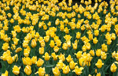 Similar image 670693