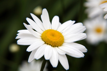 Similar image 670715