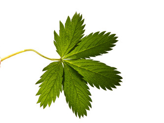 Similar image 670726